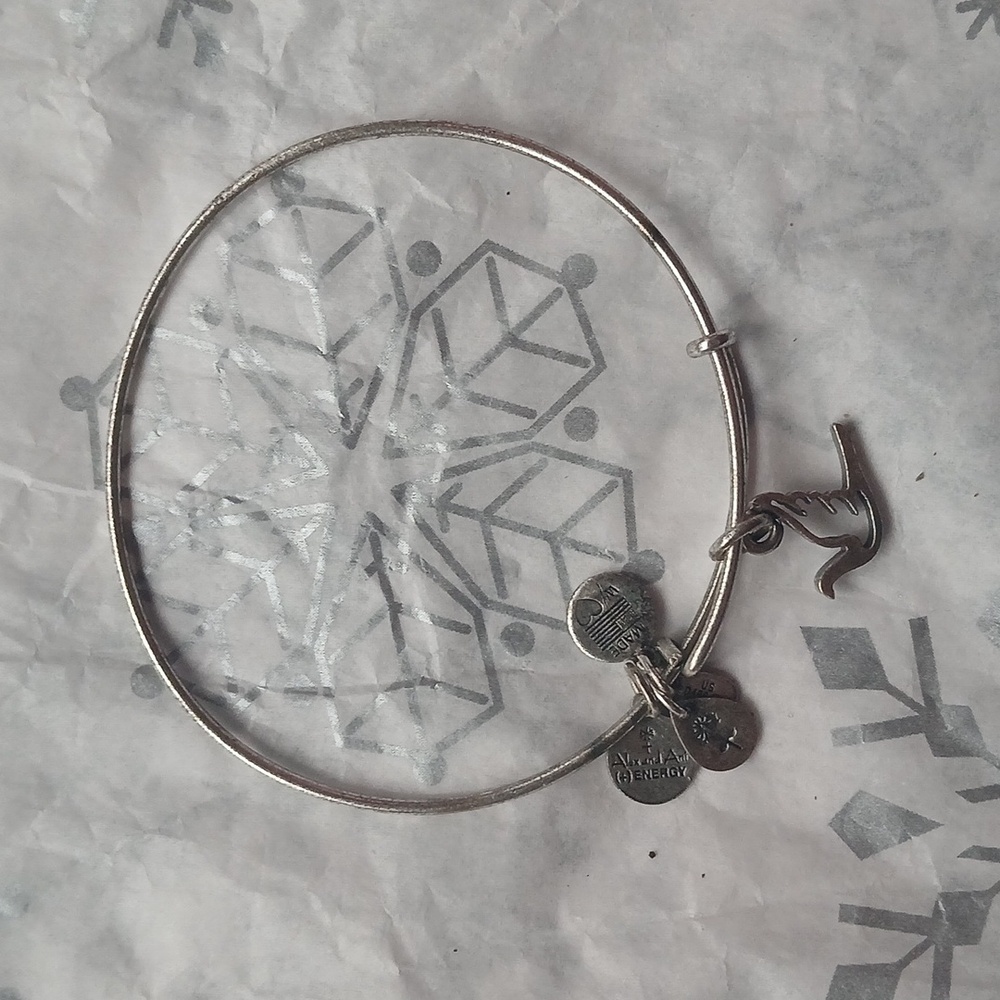 🍊3/$15🍊 Alex and Ani Dove Bracelet